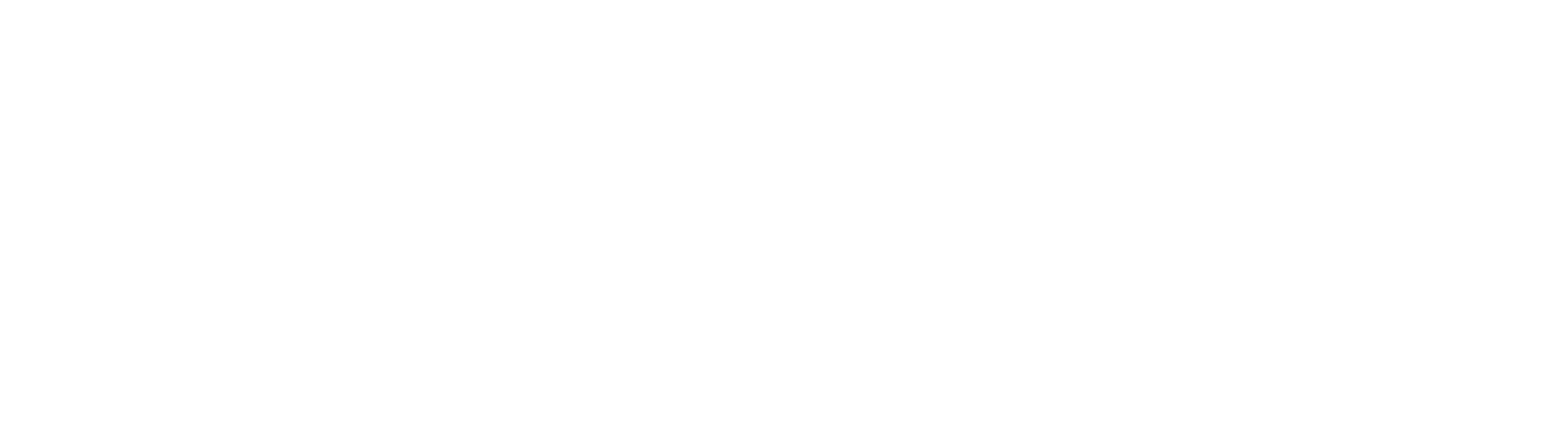 ICCDV